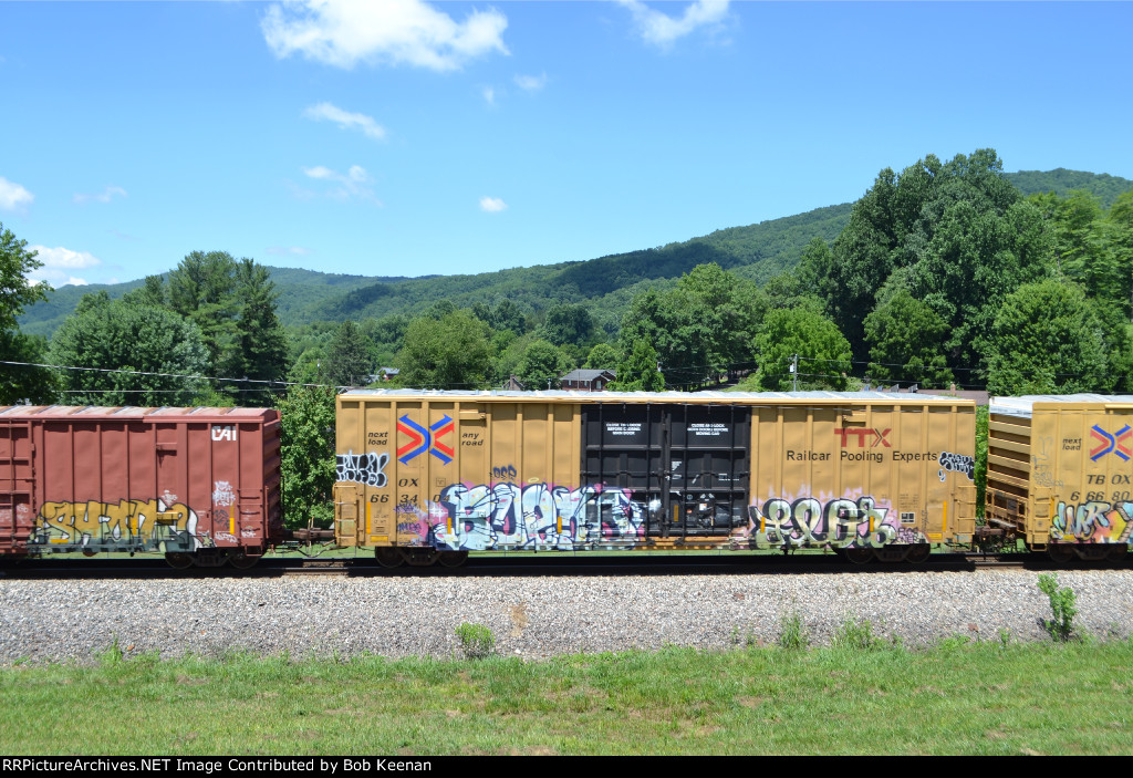 TBOX 663404